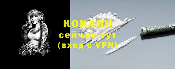 трава Богородицк