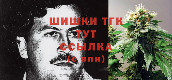 скорость Богданович