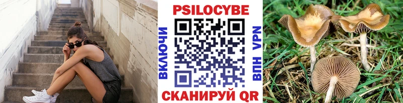 где можно купить   Улан-Удэ  Галлюциногенные грибы MAGIC MUSHROOMS 